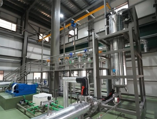 MAIN-PLANT